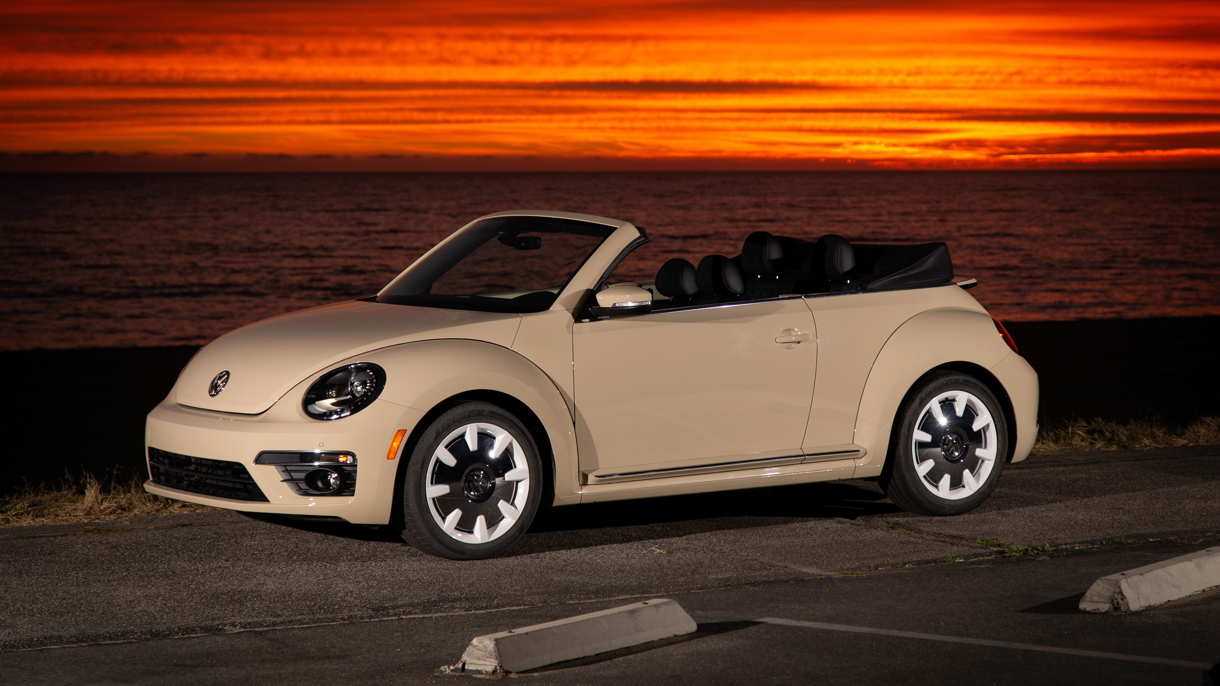 Share 72+ beetle wallpaper latest - in.cdgdbentre