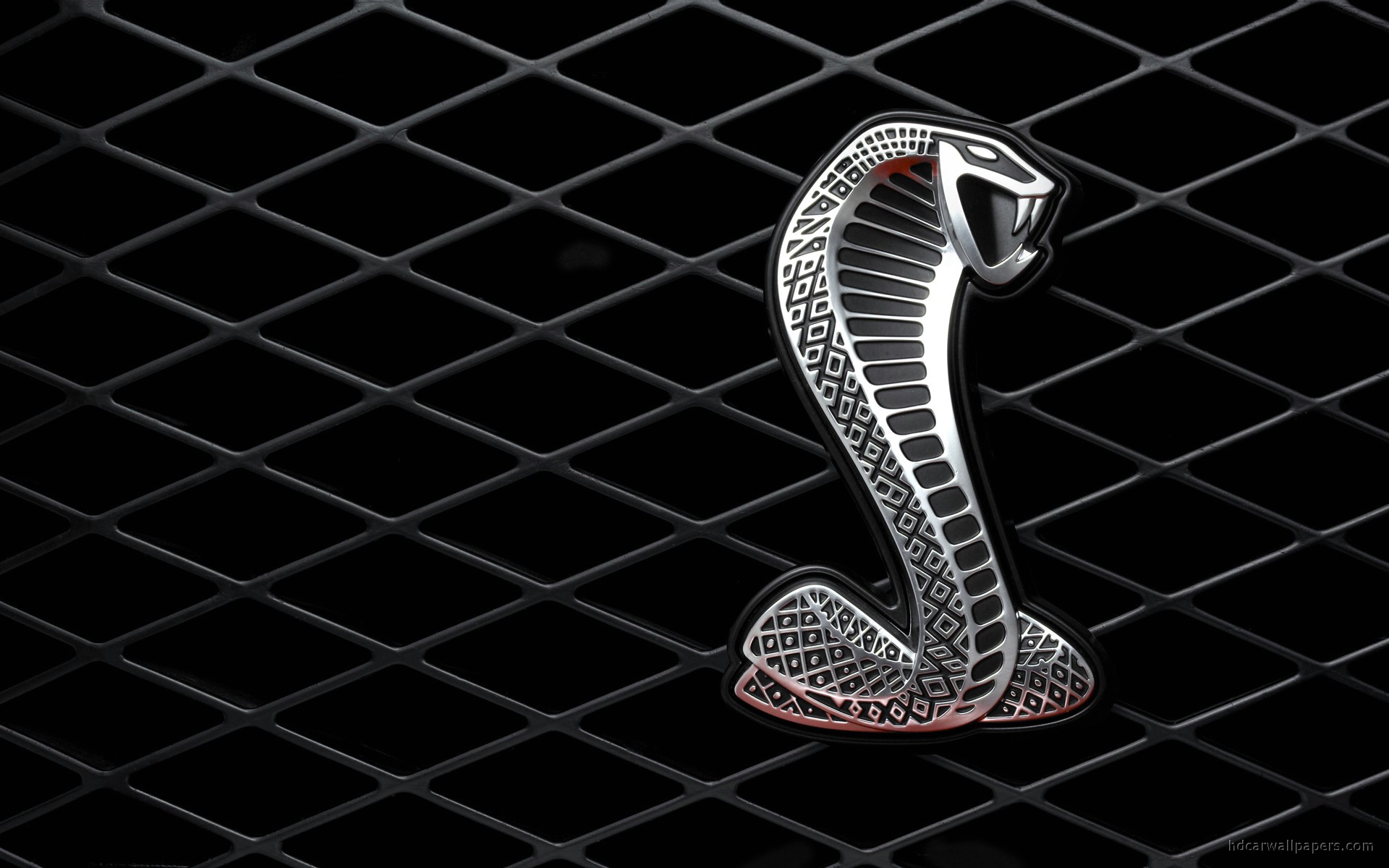  Cobra Wallpapers  Snake Wallpaper APK for Android Download